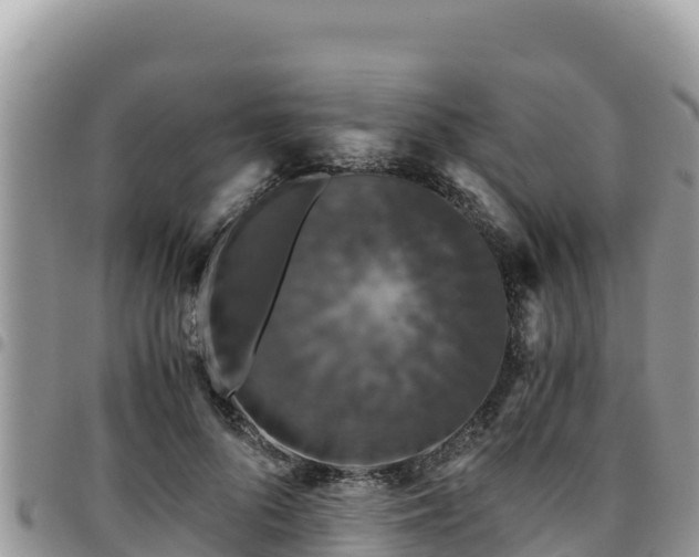 X0000094930696200711291335