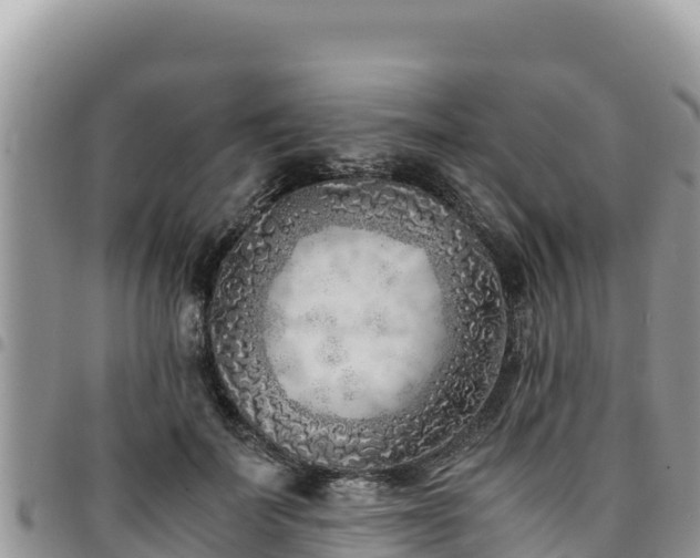 X0000094930699200711291335