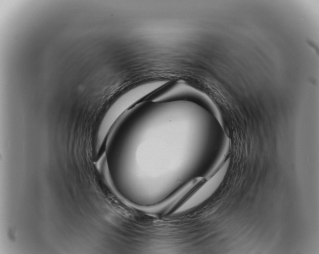 X0000094930700200711291335