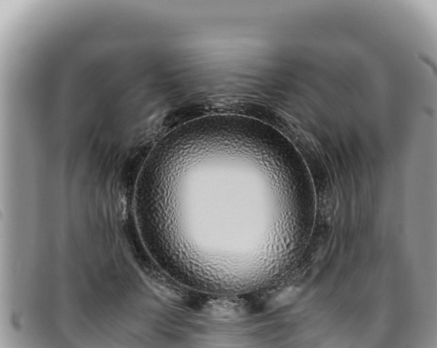 X0000094930703200711291335