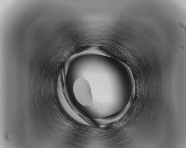 X0000094930704200711291335