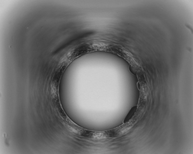 X0000094930705200711291334