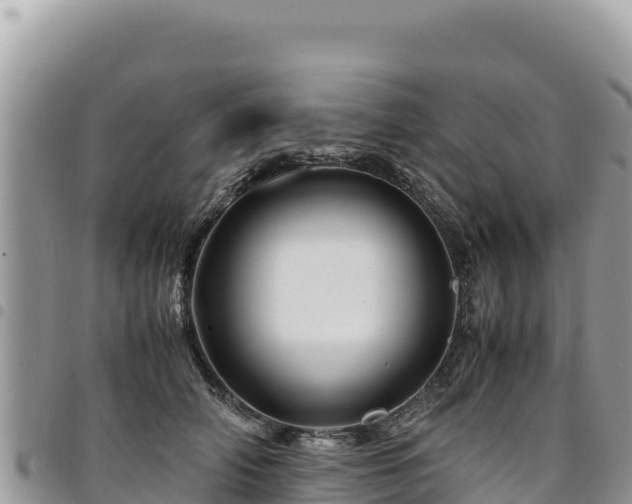 X0000094930706200711291334