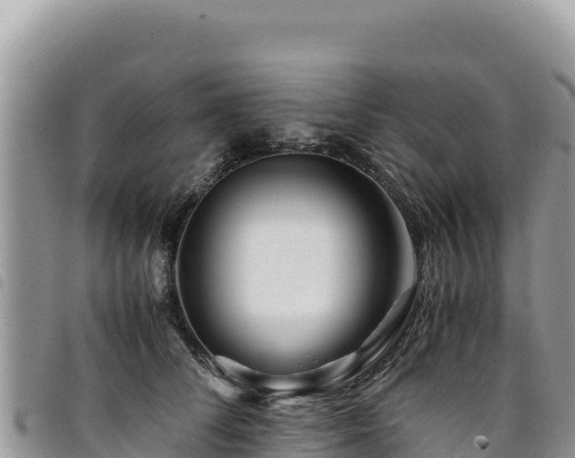 X0000094930708200711291334