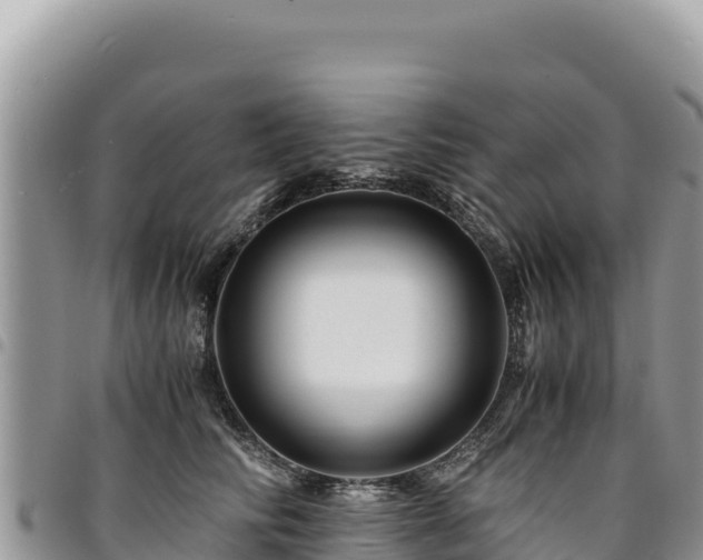 X0000094930710200711291334