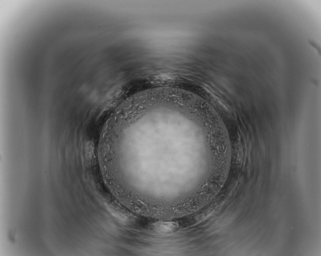 X0000094930711200711291334