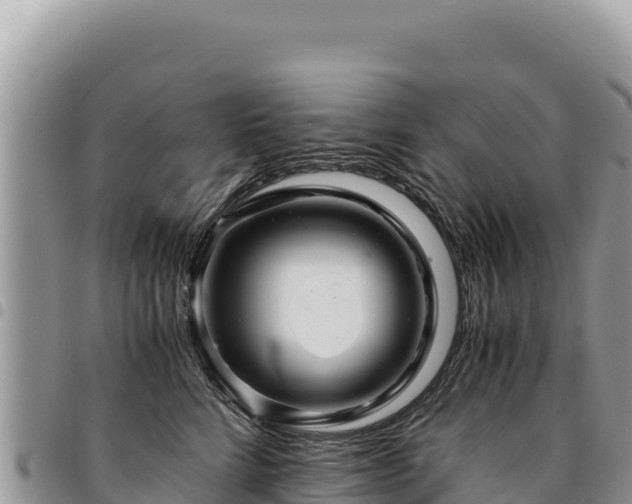 X0000094930712200711291334