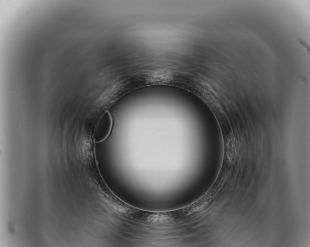 X0000094930714200711291334