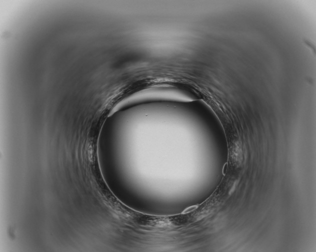 X0000094930715200711291334
