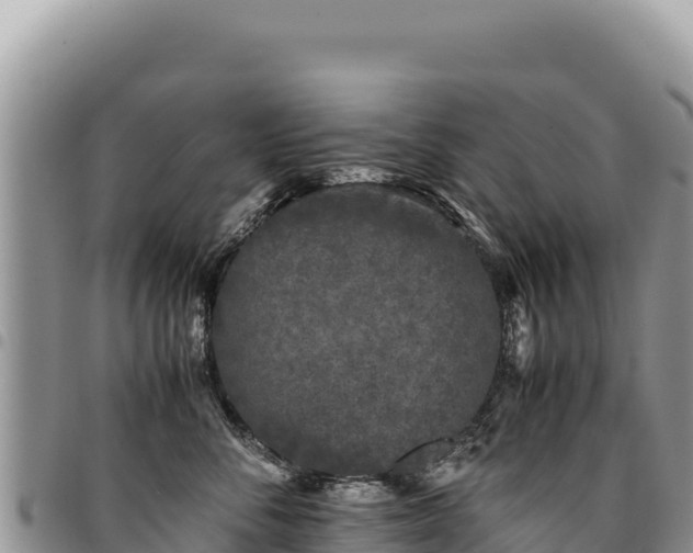 X0000094930716200711291334