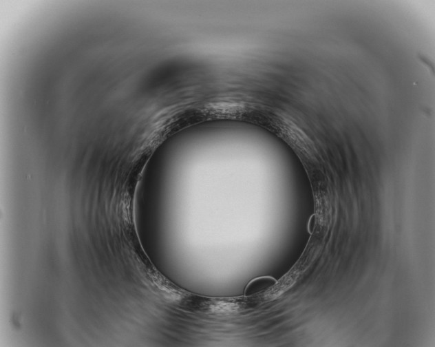 X0000094930718200711291334