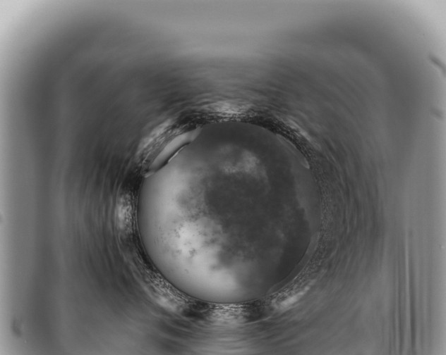 X0000094930720200711291334