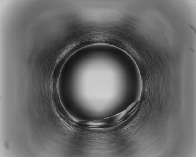 X0000094930722200711291334