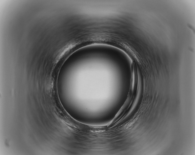 X0000094930723200711291334