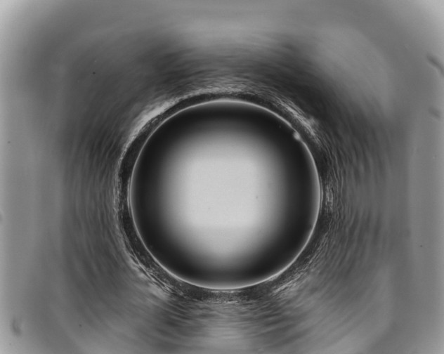X0000094930724200711291334