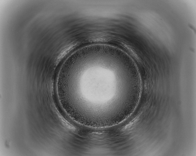 X0000094930725200711291334