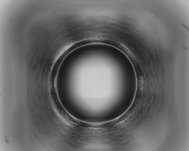 X0000094930726200711291334