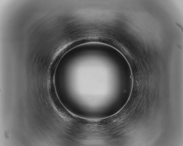 X0000094930728200711291334