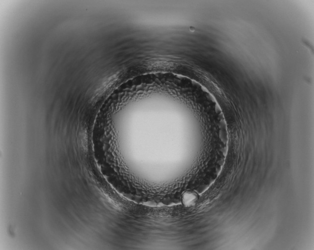 X0000094930729200711291334
