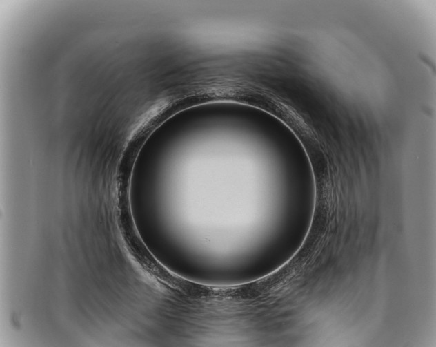 X0000094930730200711291334