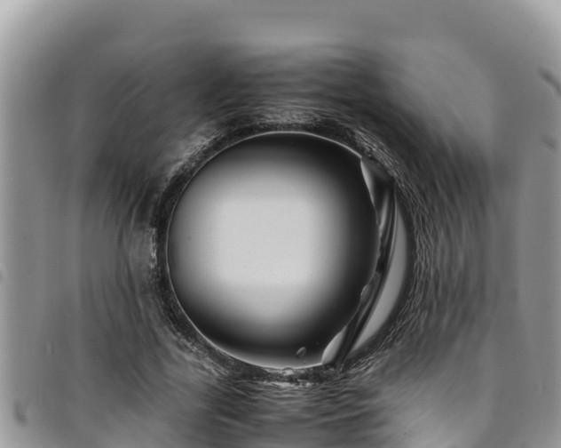 X0000094930731200711291334