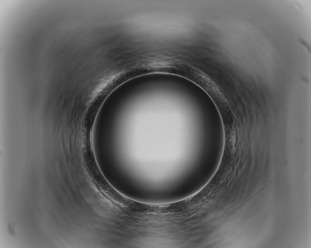 X0000094930732200711291334
