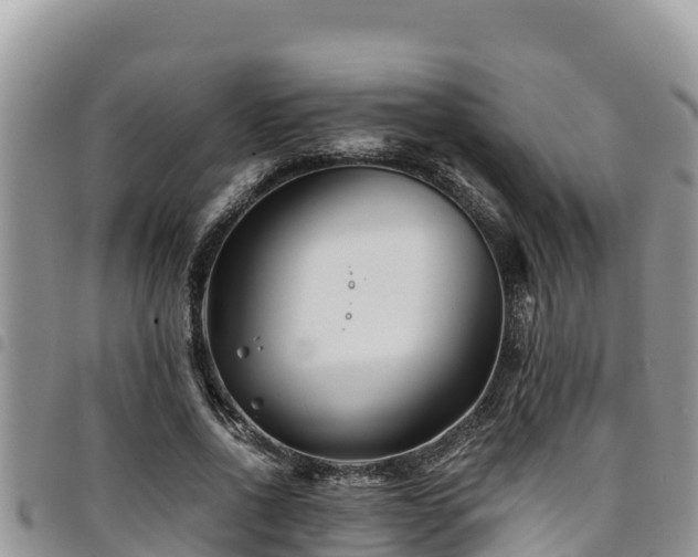 X0000094930734200711291334