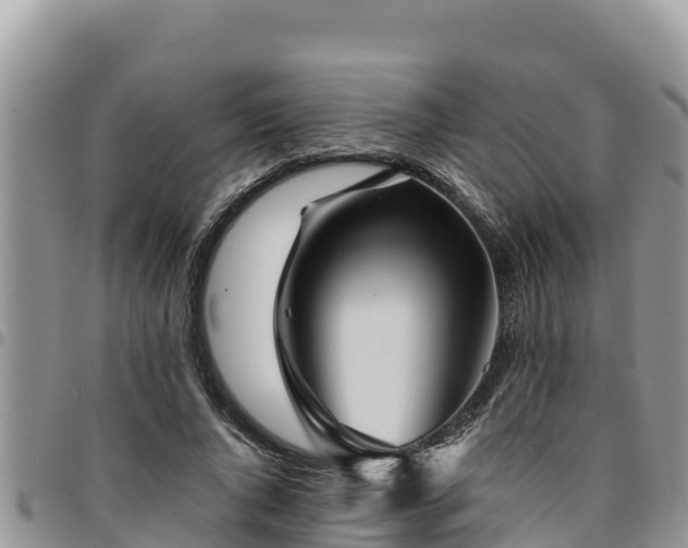 X0000094930736200711291334