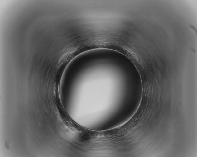 X0000094930740200711291334