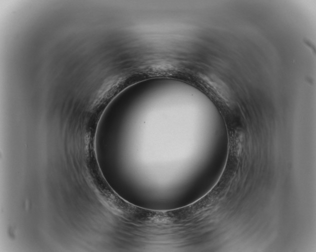 X0000094930742200711291334