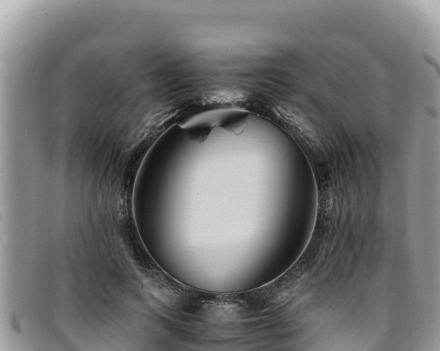 X0000094930743200711291334