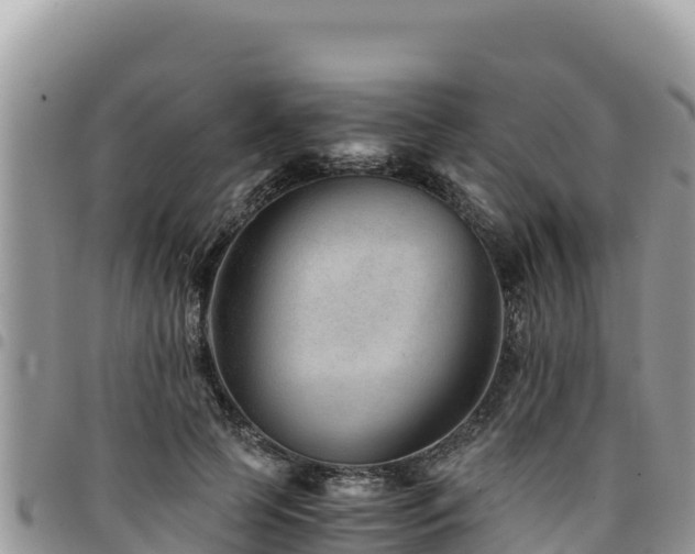 X0000094930745200711291334