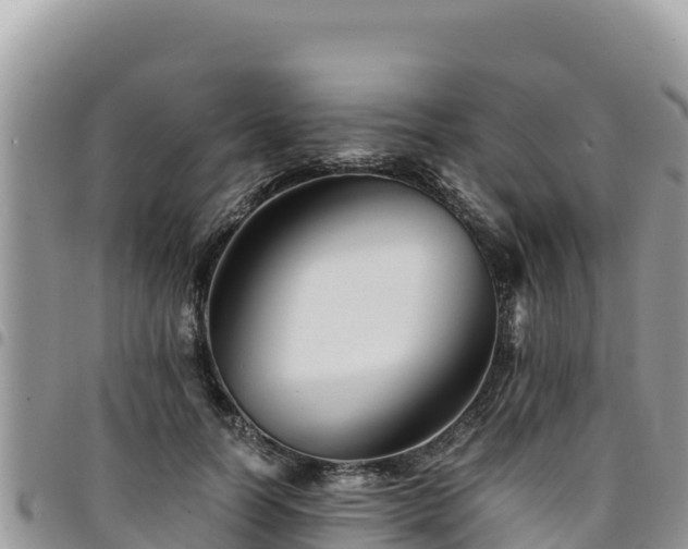 X0000094930746200711291334