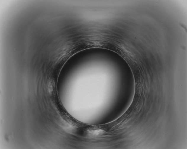X0000094930747200711291334