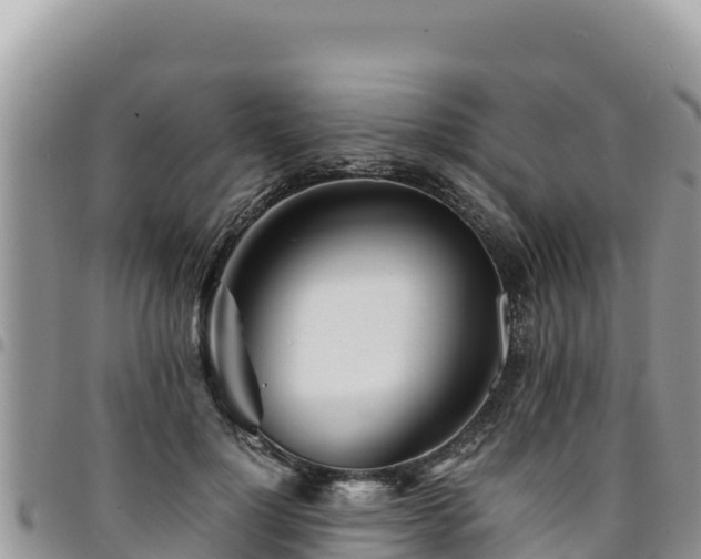 X0000094930748200711291334