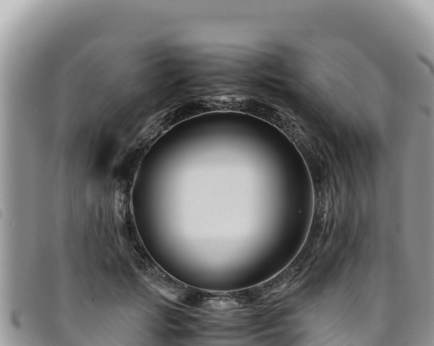 X0000094930749200711291334