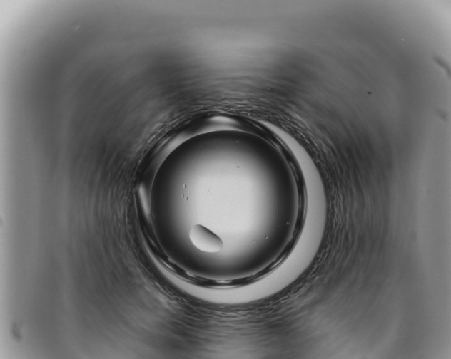 X0000094930750200711291334