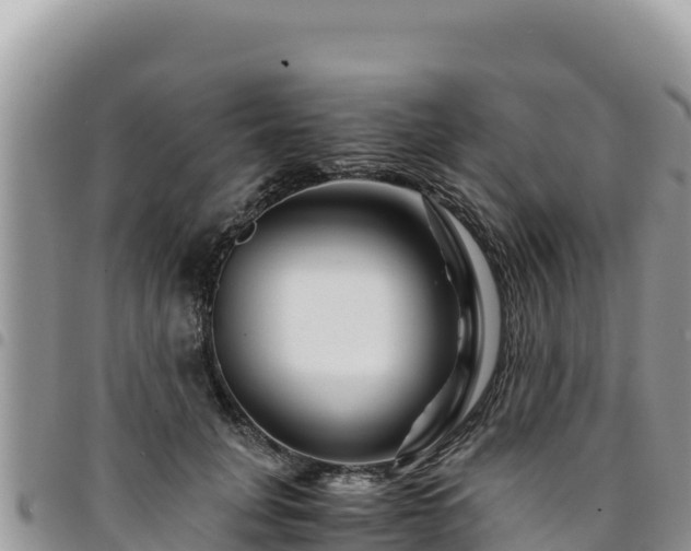 X0000094930751200711291334