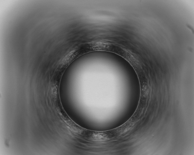 X0000094930753200711291334