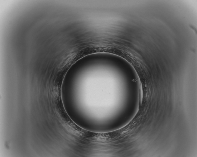 X0000094930756200711291334