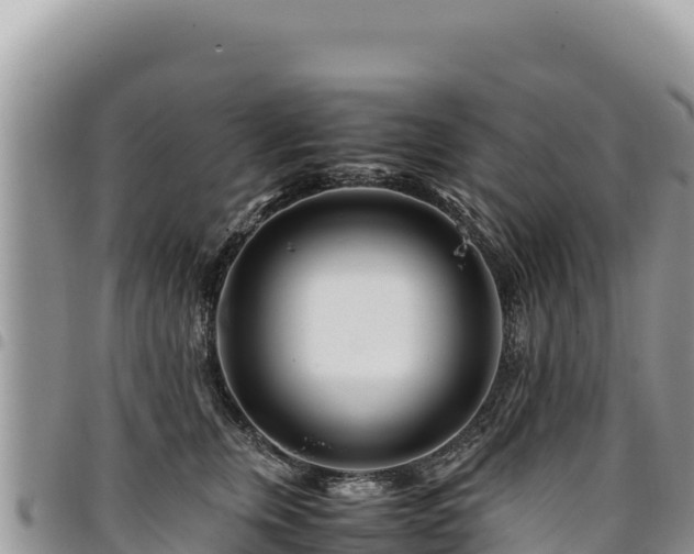 X0000094930759200711291334