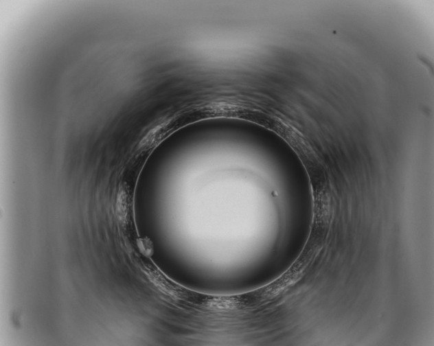 X0000094930762200711291334