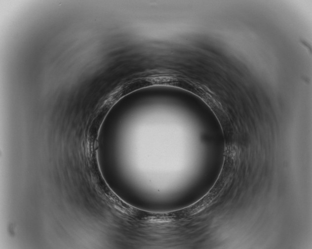 X0000094930763200711291334
