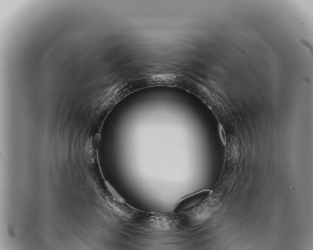 X0000094930764200711291334
