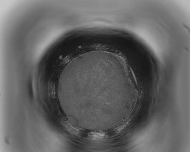 X0000094930765200711291334