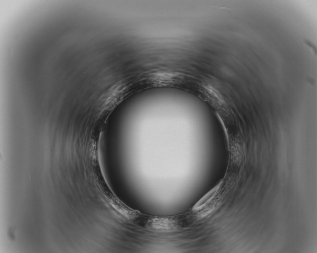 X0000094930766200711291334