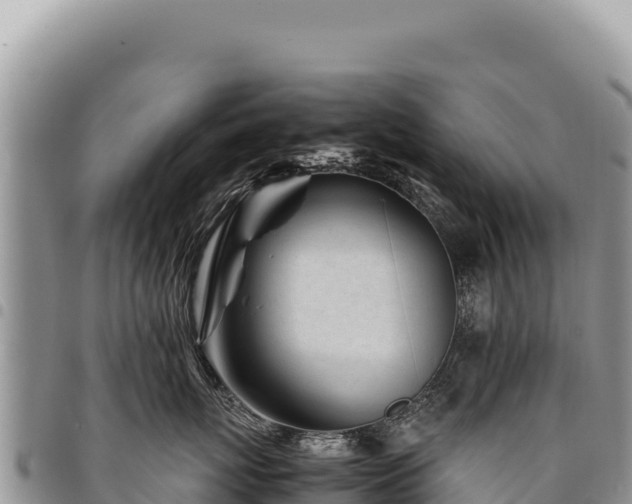 X0000094930767200711291334