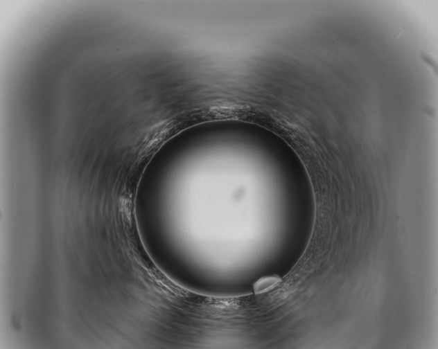 X0000094930768200711291334