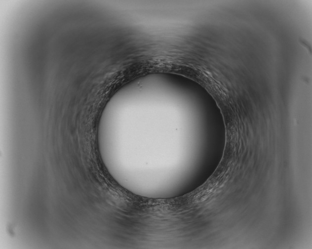 X0000094930769200711291334