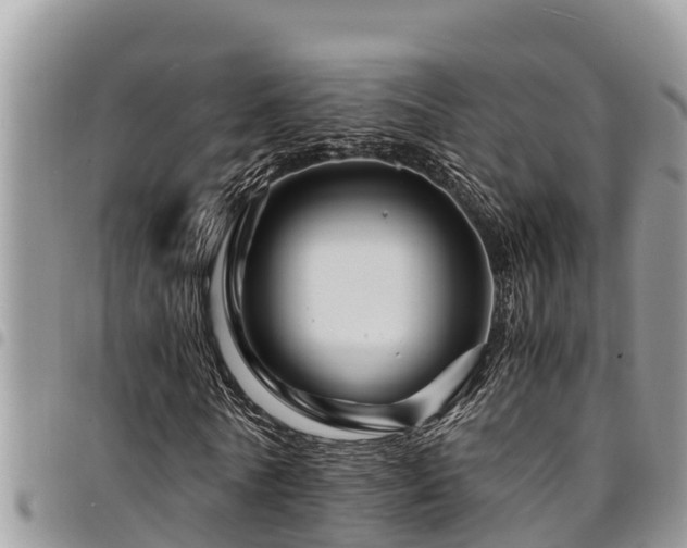 X0000094930770200711291334